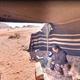 Image for article titled Google Earth is giving virtual tours of traditional homes around the world